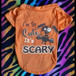 🧡🖤 *4/$15* Halloween Dog T-Shirt XS Orange Black Pet Bat
